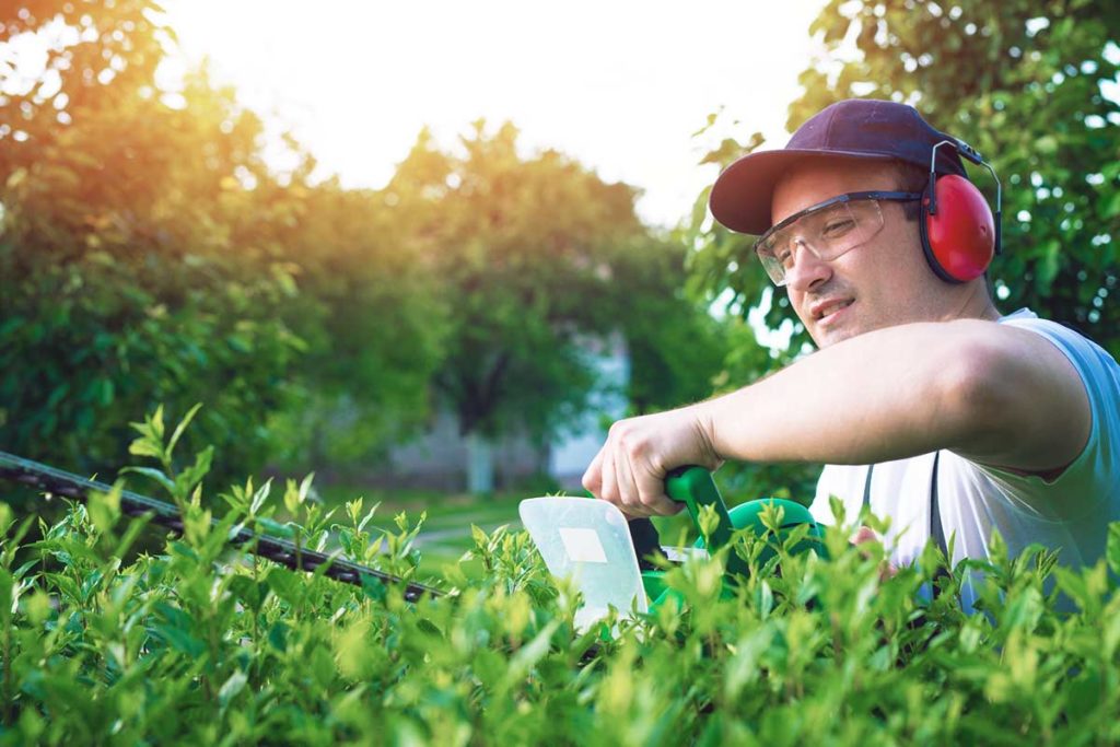 38+ Gartenarbeit Haushaltsnahe Dienstleistung, Unter haushaltsnahe